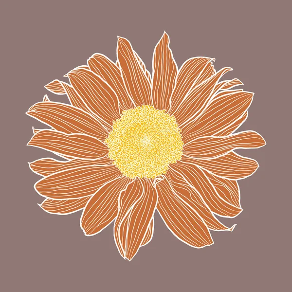 Tête de tournesol simple dessin numérique, terre cuite et jaune avec contours blancs sur fond taupe — Image vectorielle