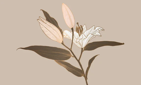 Luxury art deco lily flower linear drawing with bronze metallic outline — Stok Vektör