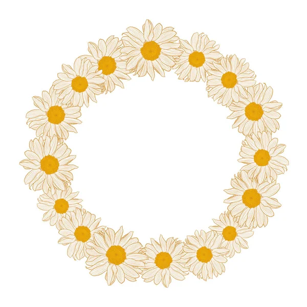 Couronne florale avec camomilles isolées sur fond blanc — Image vectorielle