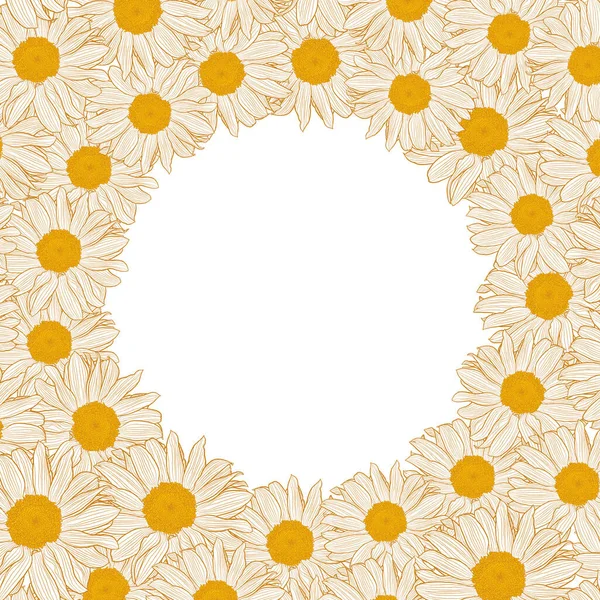 Cadre carré avec centre rond de camomilles sur fond blanc — Image vectorielle
