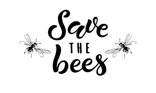 Sauvez les abeilles. Lettrage à la main avec dessin de deux abeilles isolées sur fond blanc. — Image vectorielle