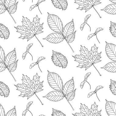 Beyaz zemin üzerinde çeşitli yapraklar bulunan siyah çizgi grafiklerinde el çizimi desen