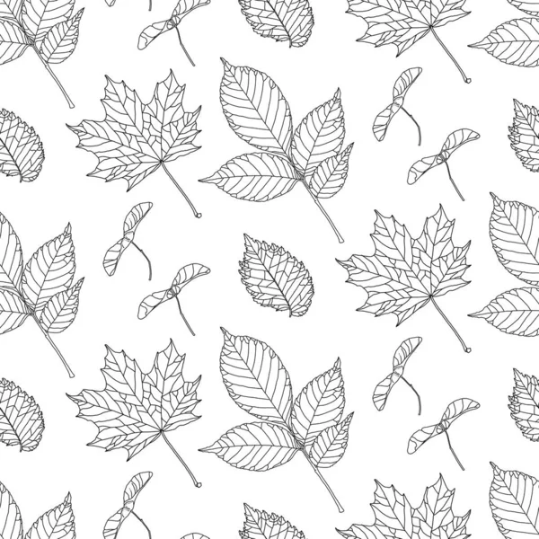 Handgetekend patroon in zwarte lijn graphics met verschillende soorten bladeren op een witte achtergrond — Stockvector