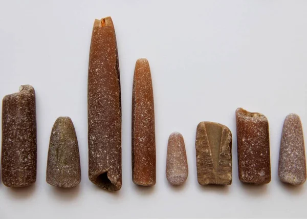 Beyaz bir kâğıt üzerinde serpiştiriyor.