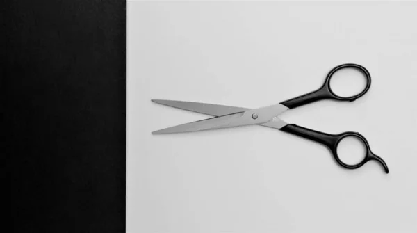 Hairdressing Scissors Desktop — Stock Photo, Image