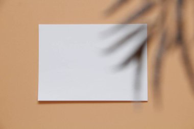 Duvardaki beyaz boş kağıt