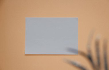 Duvardaki beyaz boş kağıt