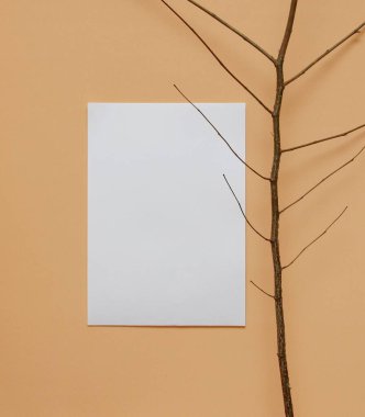 Kağıt ve arka planda bir dal