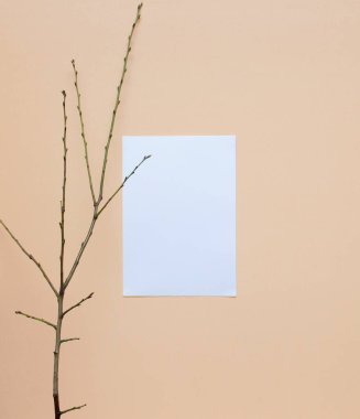 Kağıt ve arka planda bir dal