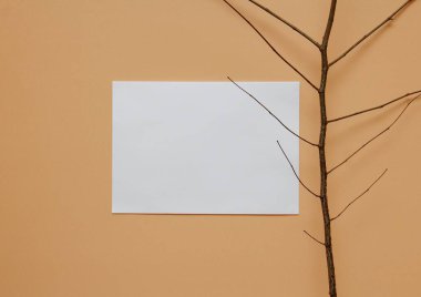 Kağıt ve arka planda bir dal