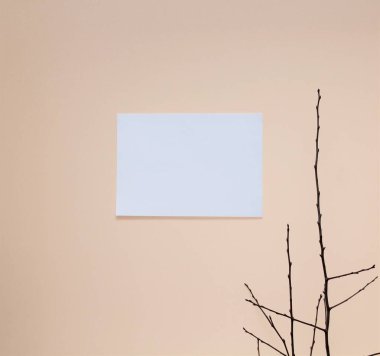 Kağıt ve arka planda bir dal