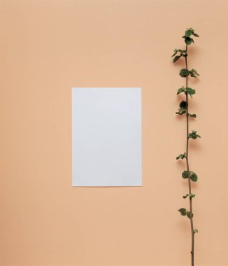 Kağıt ve arka planda bir dal