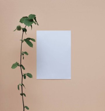 Kağıt ve arka planda bir dal