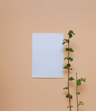 Kağıt ve arka planda bir dal