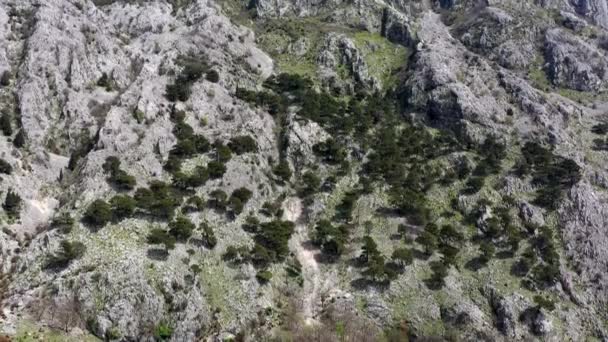Meredek Dolomit Szikla Benőtt Fák Közelében Kotor Montenegró — Stock videók