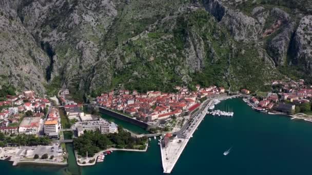 Повітряний Вид Старе Місто Котор Стіни Фортеці Котор Чорногорії — стокове відео