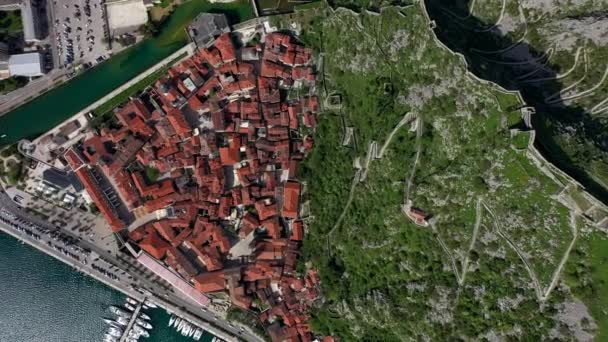 Veduta Aerea Della Città Vecchia Kotor Delle Mura Della Fortezza — Video Stock