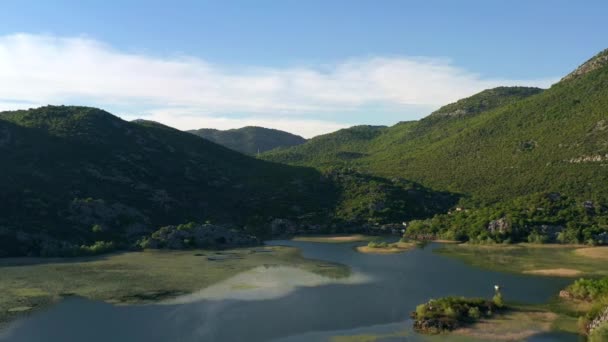 Teluk Karuc Lake Skadar Taman Nasional Montenegro — Stok Video