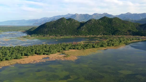 Veduta Aerea Delle Montagne Verdi Sul Lago Skadar Primavera Montenegro — Video Stock