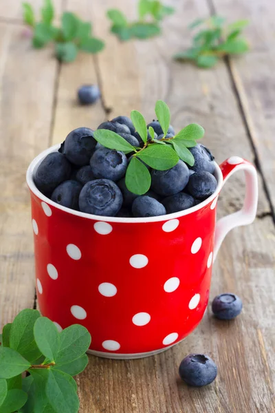 Frische Blaubeeren Einer Roten Tasse Auf Hölzernem Hintergrund Vertikale Orientierung — Stockfoto