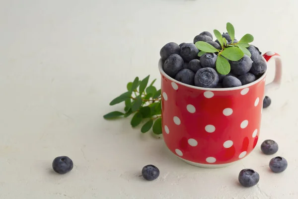 Frische Blaubeeren Einer Roten Tasse Auf Hellem Hintergrund Horizontale Orientierung — Stockfoto