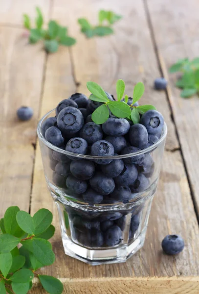 Frische Blaubeeren im Glas auf Holzgrund — Stockfoto