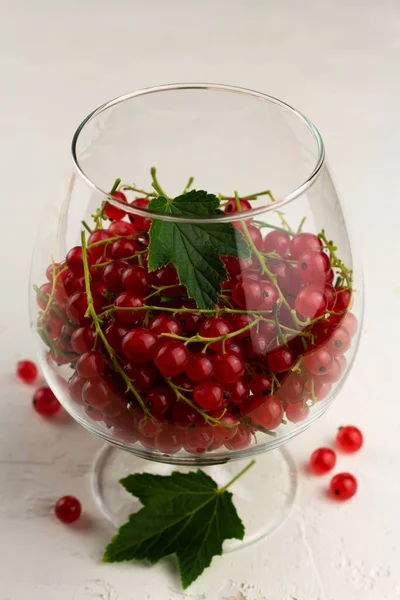 Rote Johannisbeere Glas Getränkekonzept Geschlossene Vertikale Orientierung — Stockfoto