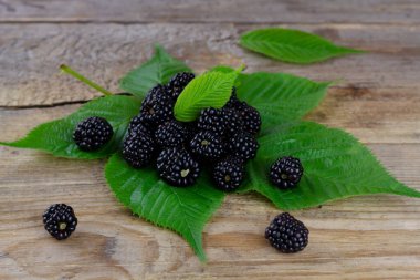 Ahşap arka planda taze böğürtlen. Kapat.