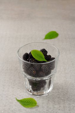 Gri arkaplandaki bir bardakta fotokopi alanı olan taze böğürtlen