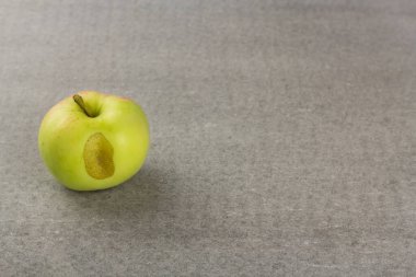 Fotokopi alanı olan gri arka planda çirkin bir bahçe elması. Yatay yönelim