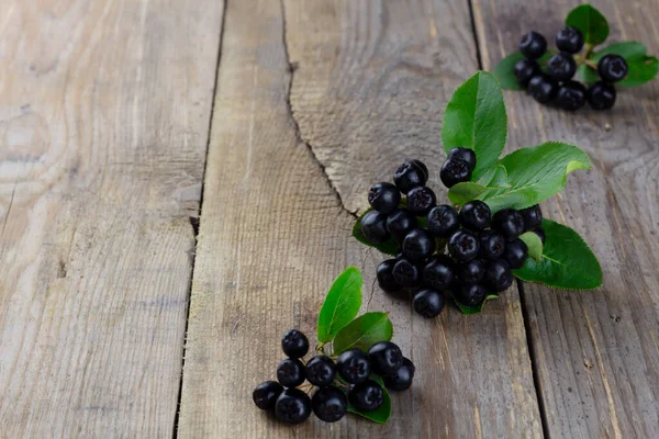 Fresh Chokeberry Wooden Background Copy Space Selective Focus — Stock Photo, Image