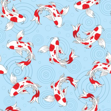 Kırmızı ve beyaz Japon koi balığı vektörü. Mavi su yüzeyinin pürüzsüz arka planında.