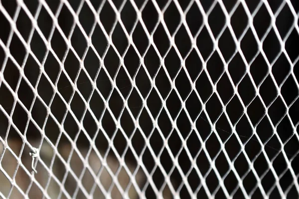 Iron lattice mesh with triangles for fencing