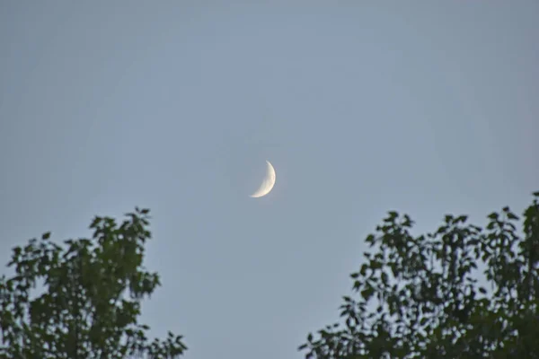 A distant moon in a blue sky in summer