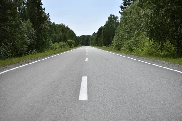 High-speed asphalt highway in the forest during the day