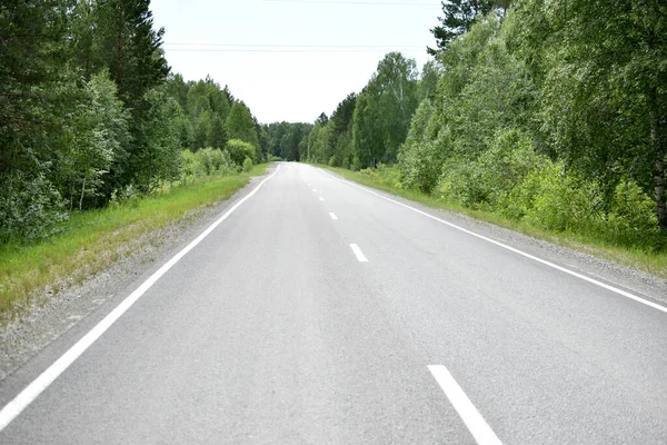 High-speed asphalt highway in the forest during the day