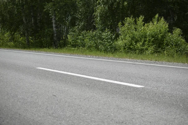 High-speed asphalt highway in the forest during the day