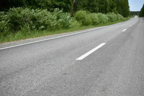 High-speed asphalt highway in the forest during the day