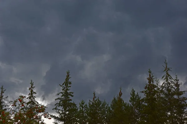 Storm hurricane blue leaden torn clouds on the horizon