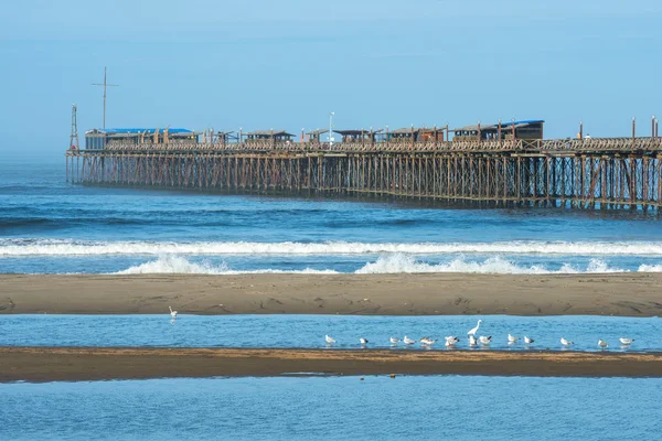 Famoso muelle en Pimentel. Perú, América del Sur — Foto de Stock