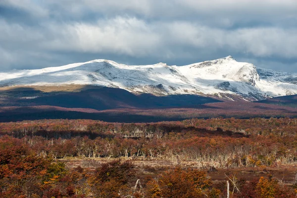 Őszi Patagonia. Cordillera Darwin, Andok, Tierra del Fuego — Stock Fotó