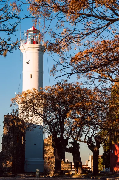 Stara latarnia morska w colonia del sacramento, Urugwaj — Zdjęcie stockowe