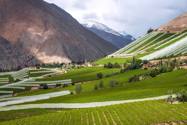 Elqui Valley, Andes part of Atacama Desert — Stock Photo, Image