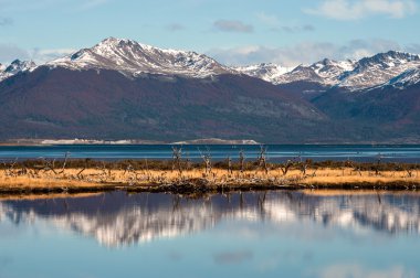 Patagonya sonbaharda. Tierra del Fuego, Beagle kanalı 