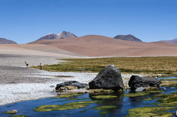 Camino por los Andes cerca de Paso Jama, Chile-Argentina-Bolivia . — Foto de Stock