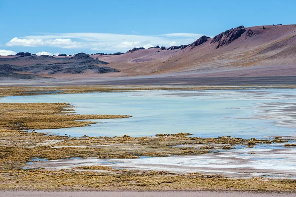 San Pedro de Atacama batısında Cordillera de la Sal — Stok fotoğraf