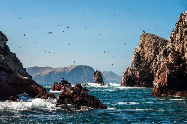 Riserva Nazionale Isole Ballestas a Paracas, Perù — Foto Stock