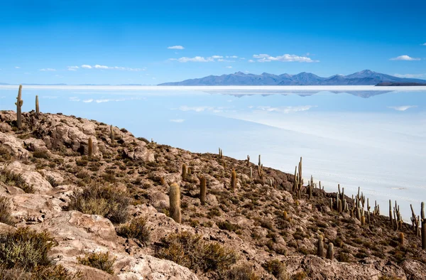Isla de Pescadores, Lago Salado Uyuni en Bolivia — Foto de Stock