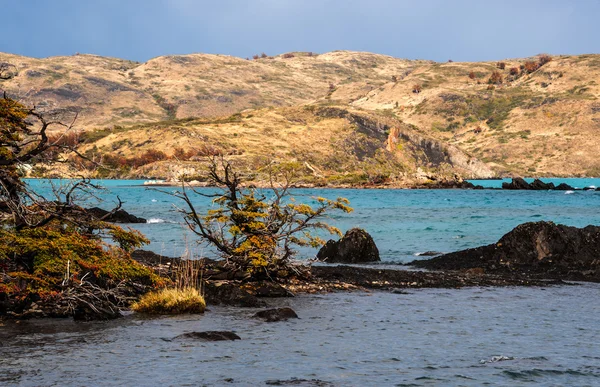 Herfst in Patagonië. De Torres del Paine Nationaalpark — Stockfoto