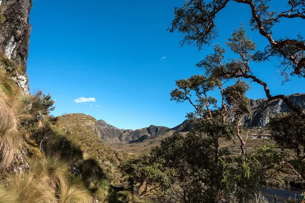 Parc national de Cajas, hauts plateaux andins, Équateur — Photo